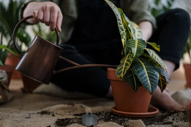 come fare la manutenzione del giardino